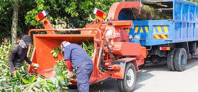 tree service in Toledo